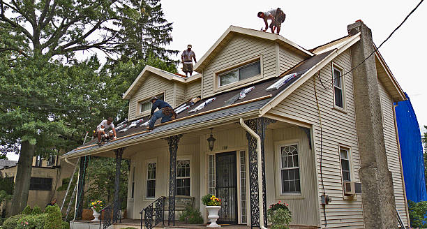 Best Gutter Installation and Roofing  in Murphys, CA
